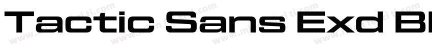 Tactic Sans Exd Bld字体转换